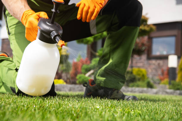 Best Pest Control Near Me in Hoquiam, WA