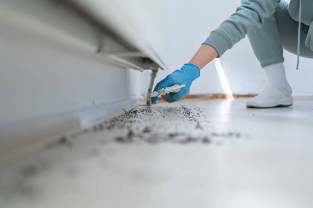 Best Pest Inspection Near Me  in Hoquiam, WA